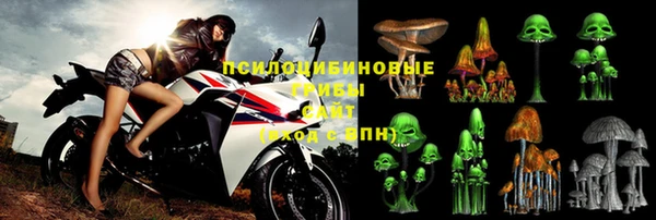 ешки Арсеньев