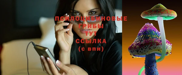 ешки Арсеньев